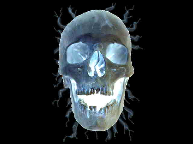 skull011.jpg